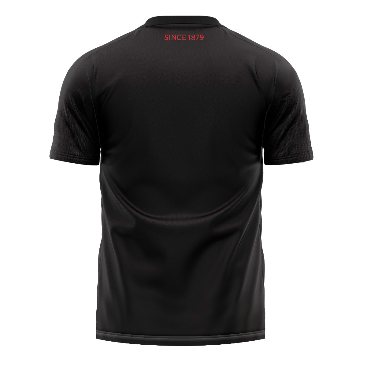Canterbury Rugby Adults 1879 Graphic Tee