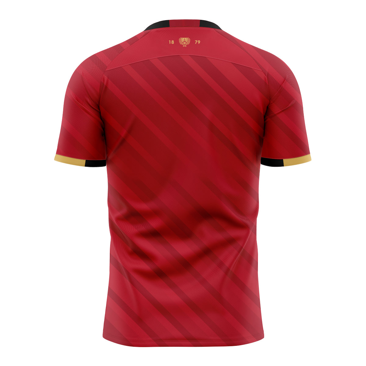 2025 Canterbury Rugby Mens Training Tee - Red