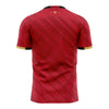 2025 Canterbury Rugby Mens Training Tee - Red