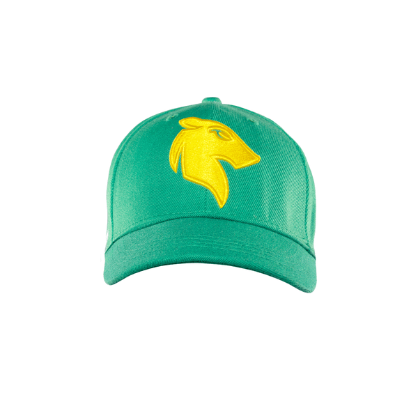 Central Hinds T20 Cap