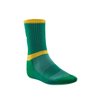 Central Hinds T20 Socks