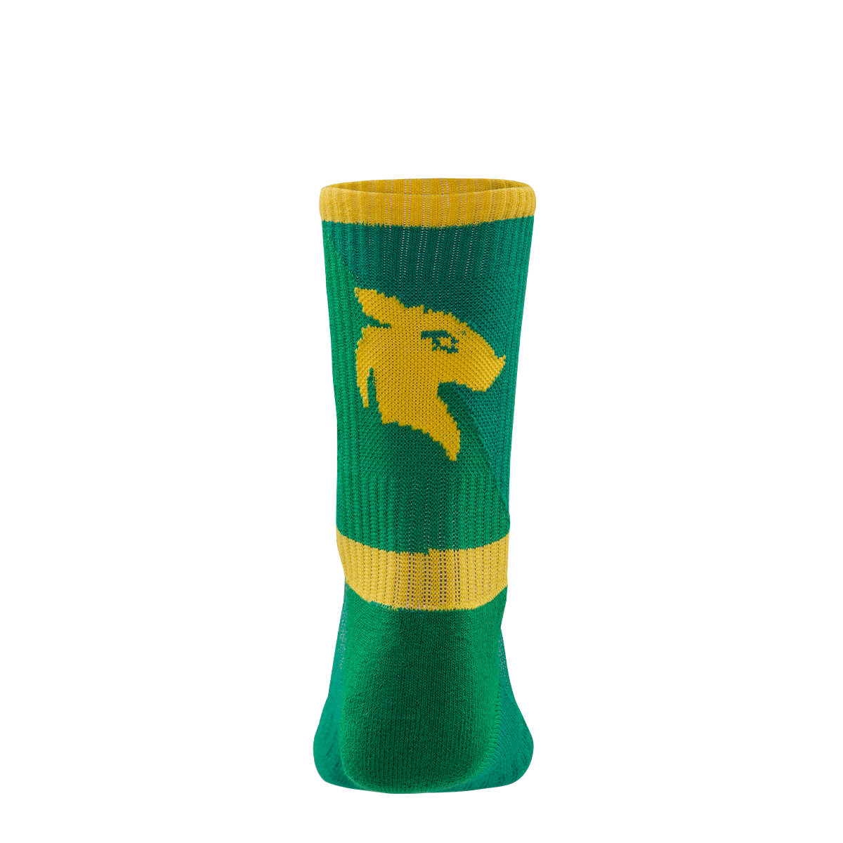 Central Hinds T20 Socks